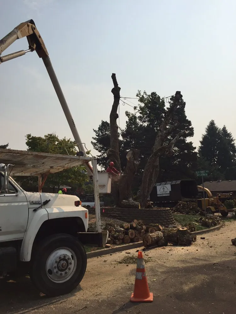 Top-rated garden landscaping experts serving Oregon City, OR - Quality Tree Service & Landscape Maintenance