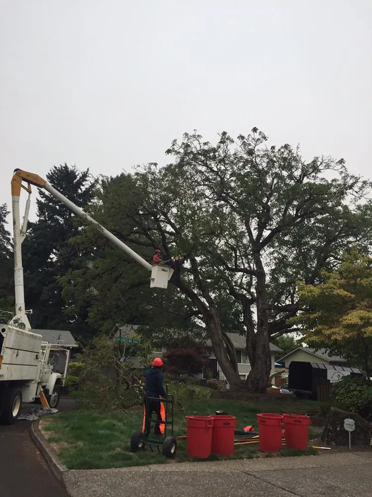 Custom lawn care service near you in Oregon City, OR by Quality Tree Service & Landscape Maintenance