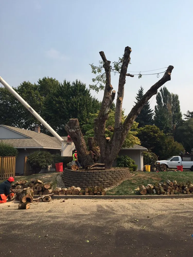 Reliable landscape installation in Oregon City, OR - Quality Tree Service & Landscape Maintenance