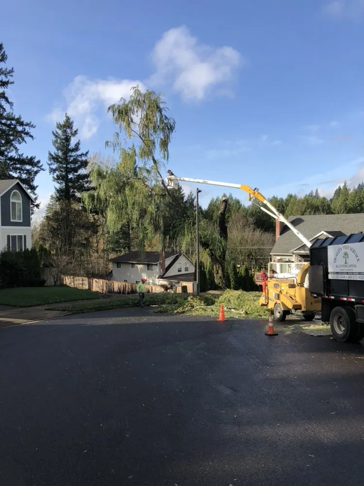 Top-rated landscaping services in Oregon City, OR - Quality Tree Service & Landscape Maintenance