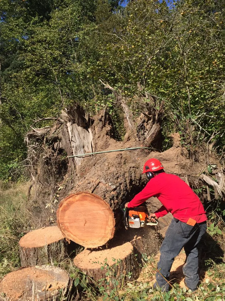 Custom yard cleanup service with custom design across Oregon City, OR - Quality Tree Service & Landscape Maintenance