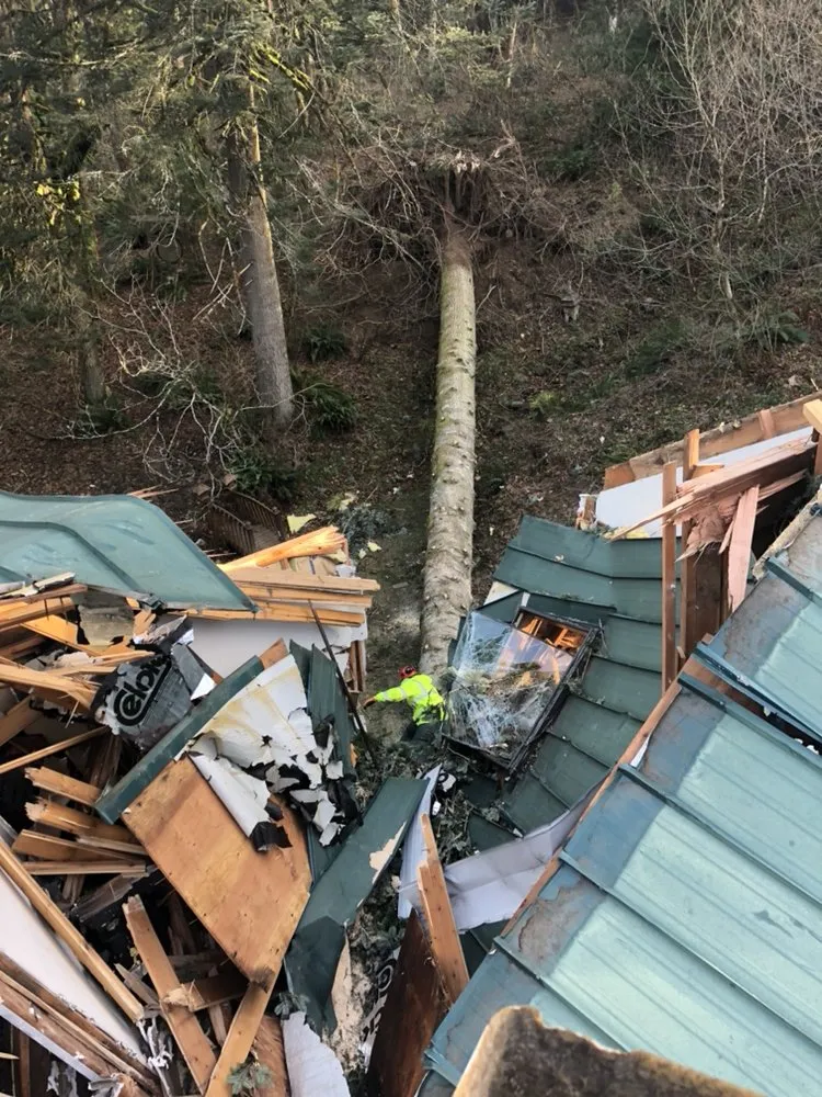 Custom residential landscaping experts serving Oregon City, OR - Quality Tree Service & Landscape Maintenance