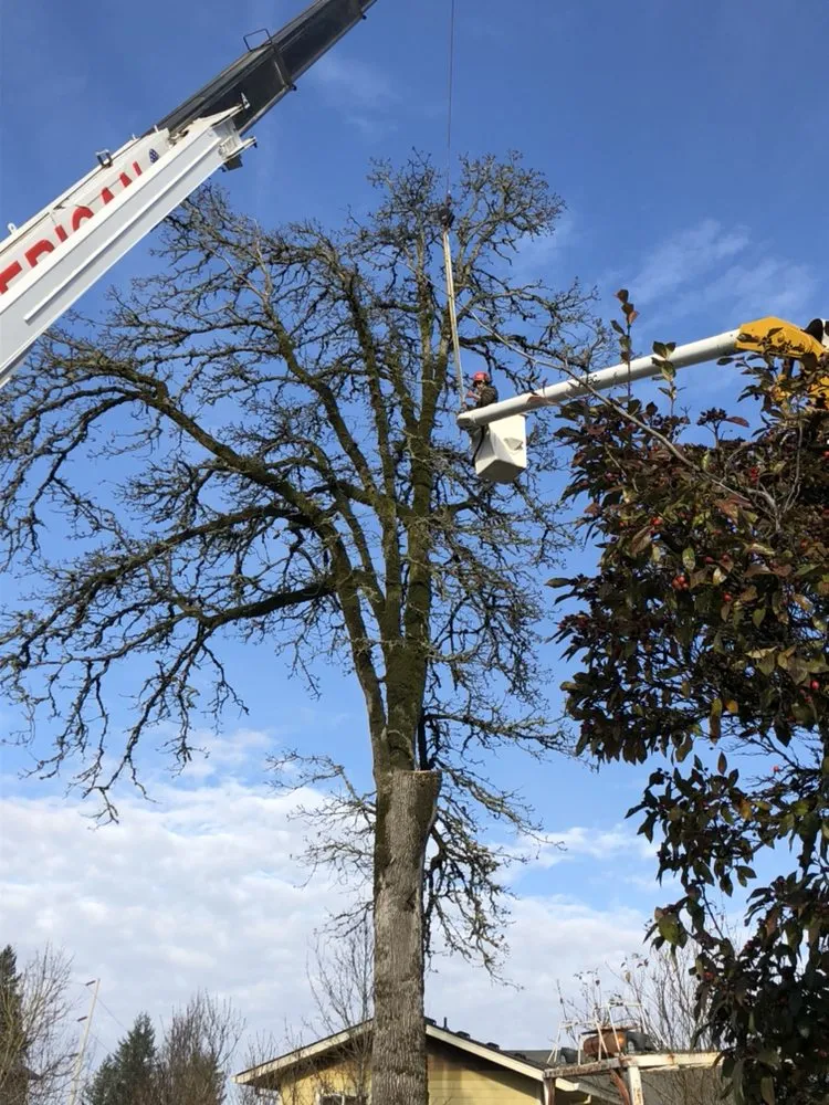 Top-rated landscape installation near you in Oregon City, OR by Quality Tree Service & Landscape Maintenance