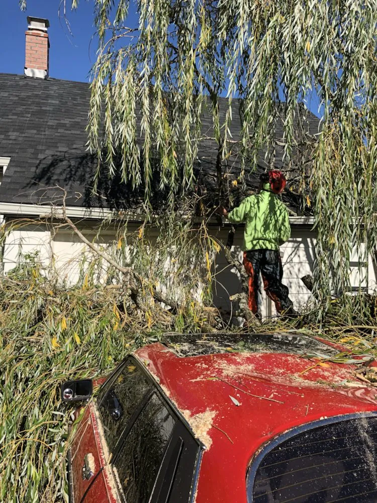 Affordable landscape design in Oregon City, OR - Quality Tree Service & Landscape Maintenance