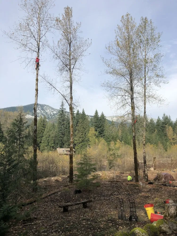 Reliable garden landscaping in Oregon City, OR by Quality Tree Service & Landscape Maintenance