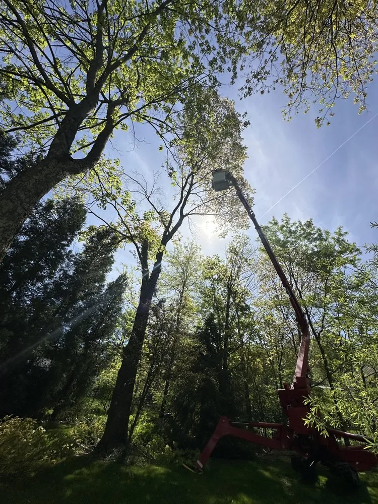 Professional landscape installation for residential properties across McKeesport, PA - Quality Tree Service & Landscaping