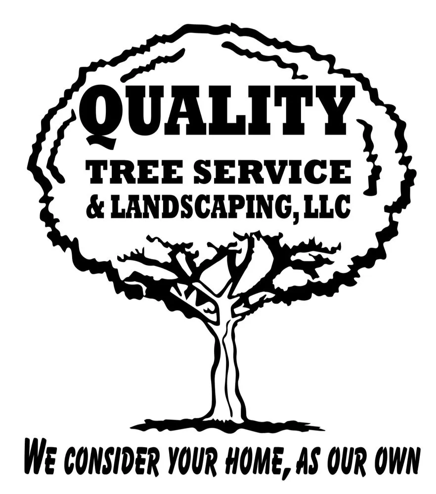 Reliable yard cleanup service for beautiful yards in McKeesport, PA by Quality Tree Service & Landscaping