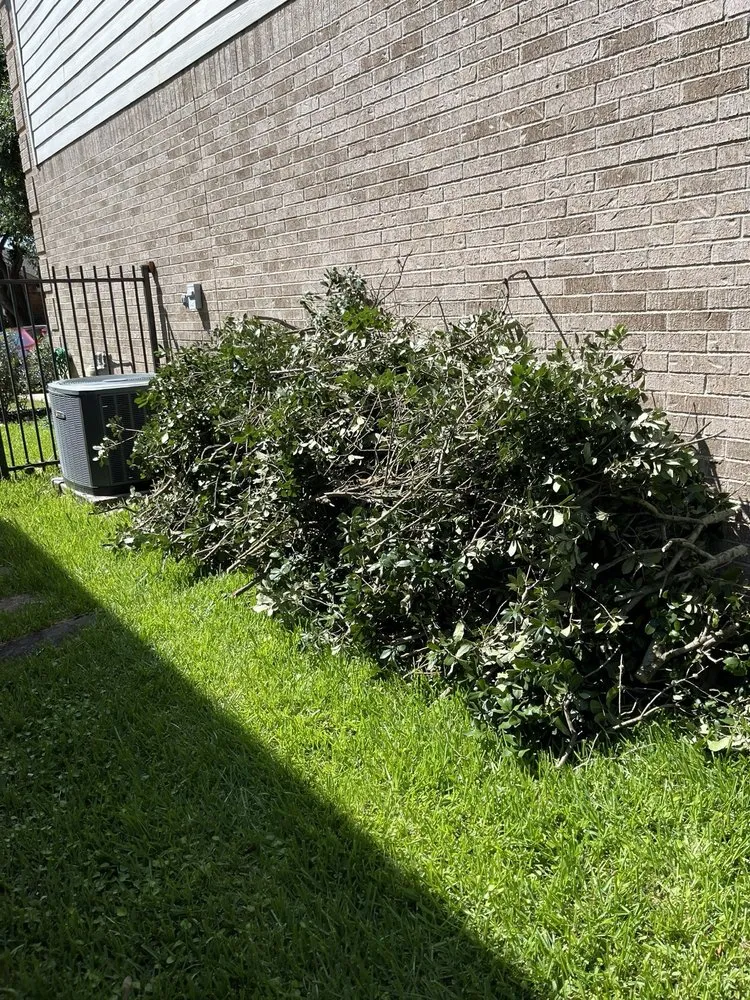 Trusted landscape installation in Houston, TX by Quality Tree Service and Landscaping