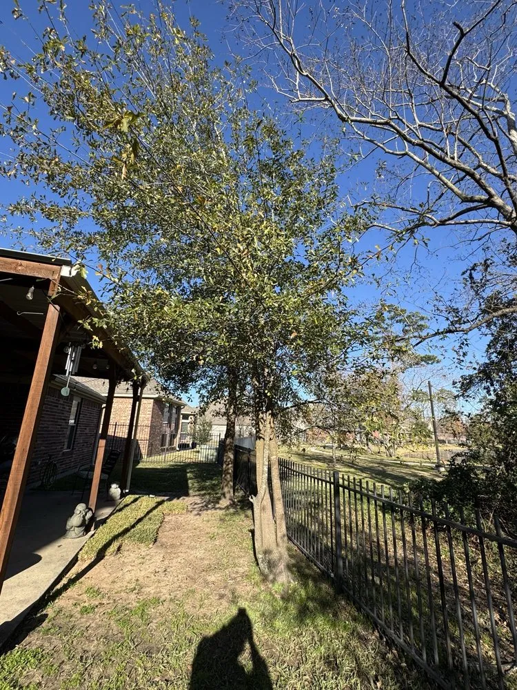 Local garden landscaping in Houston, TX by Quality Tree Service and Landscaping