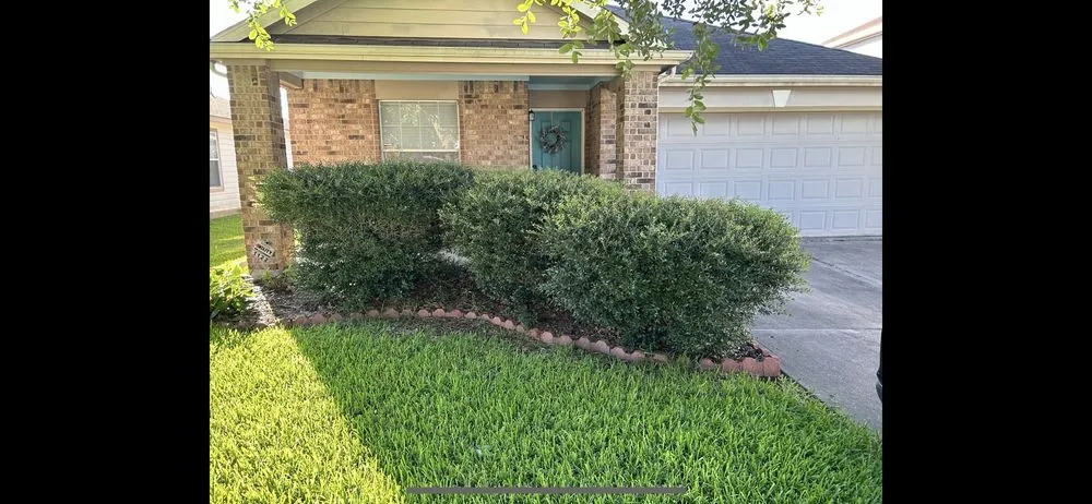 Affordable garden landscaping in Houston, TX by Quality Tree Service and Landscaping