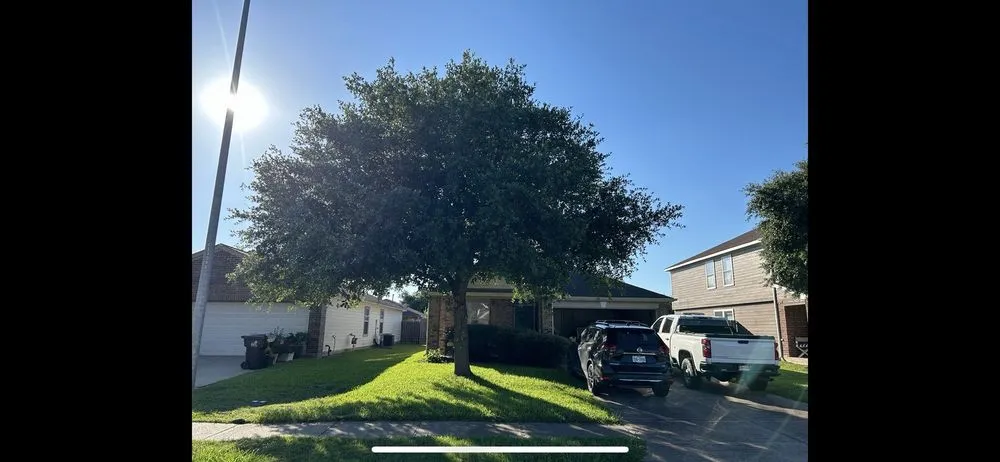 Professional outdoor landscaping in Houston, TX - Quality Tree Service and Landscaping