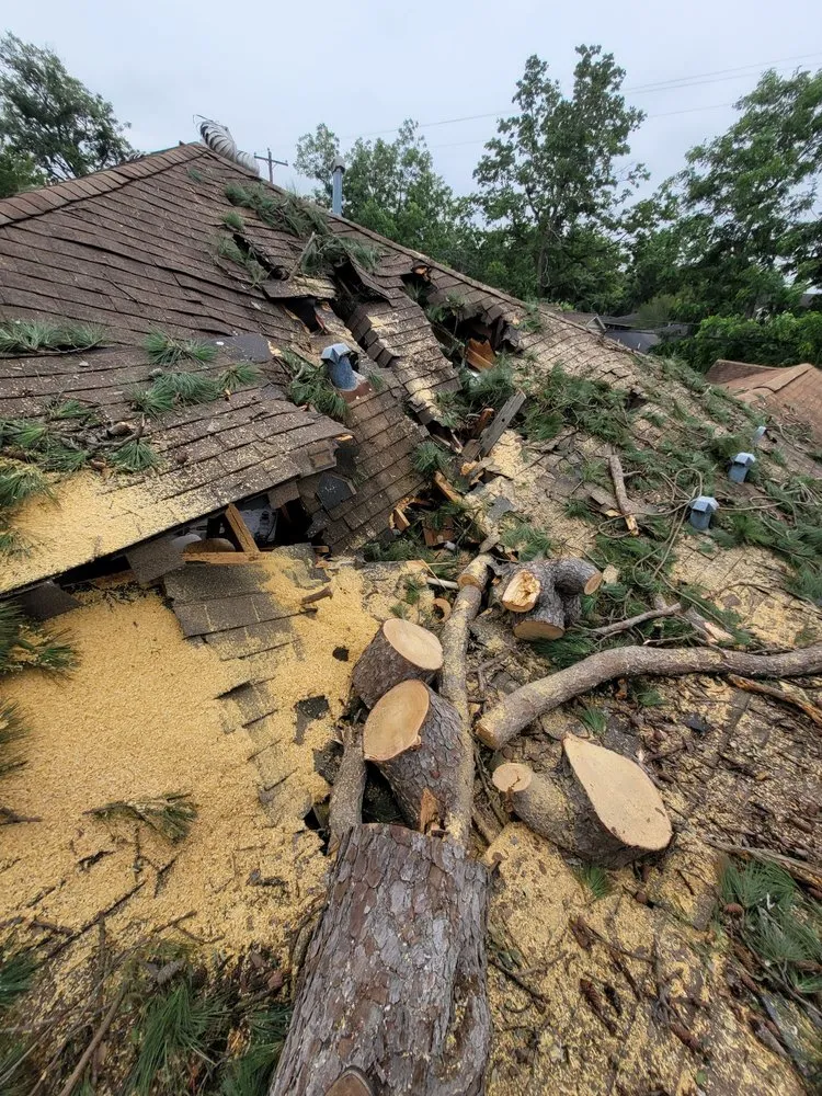 Affordable outdoor landscaping near you across Houston, TX - Quality Tree Service and Landscaping