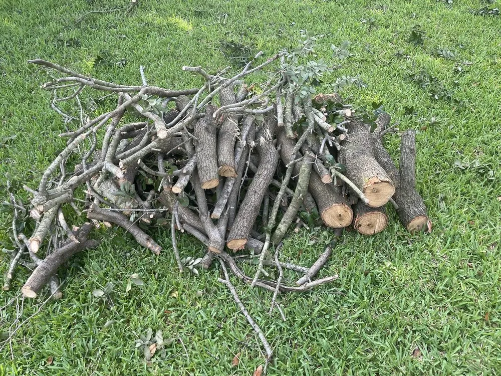 Trusted lawn care service for residential properties in Houston, TX by Quality Tree Service and Landscaping