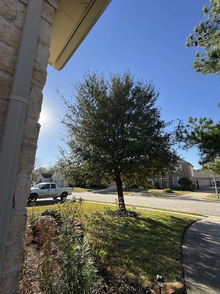 Reliable residential landscaping experts serving Houston, TX - Quality Tree Service and Landscaping