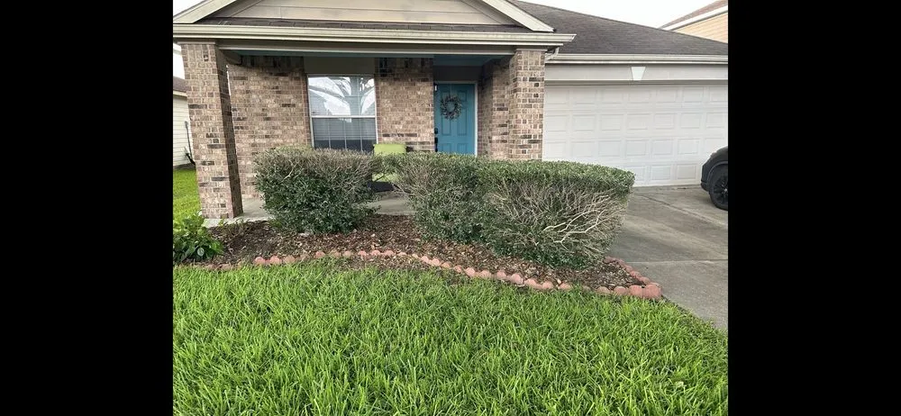 Trusted lawn care service in Houston, TX - Quality Tree Service and Landscaping