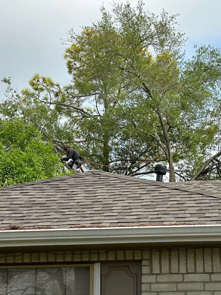 Affordable garden landscaping in Houston, TX by Quality Tree Service and Landscaping