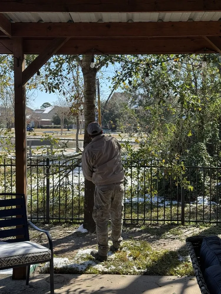 Custom yard cleanup service near you across Houston, TX - Quality Tree Service and Landscaping