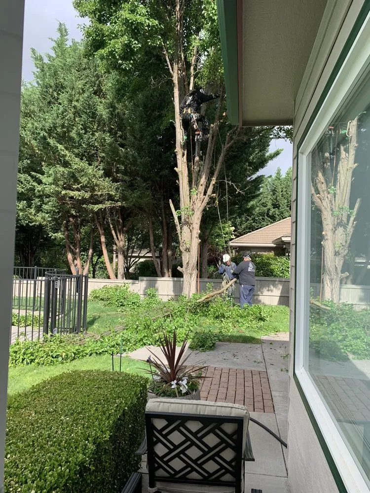 Professional lawn mowing service with custom design in Central Point, OR by Quality Tree Service