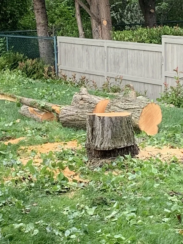 Expert lawn care service for homes across Central Point, OR - Quality Tree Service