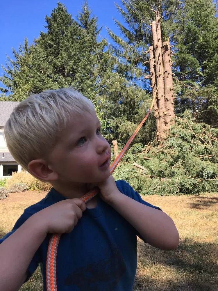 Top-rated garden landscaping in McKinleyville, CA by Quality Tree Service