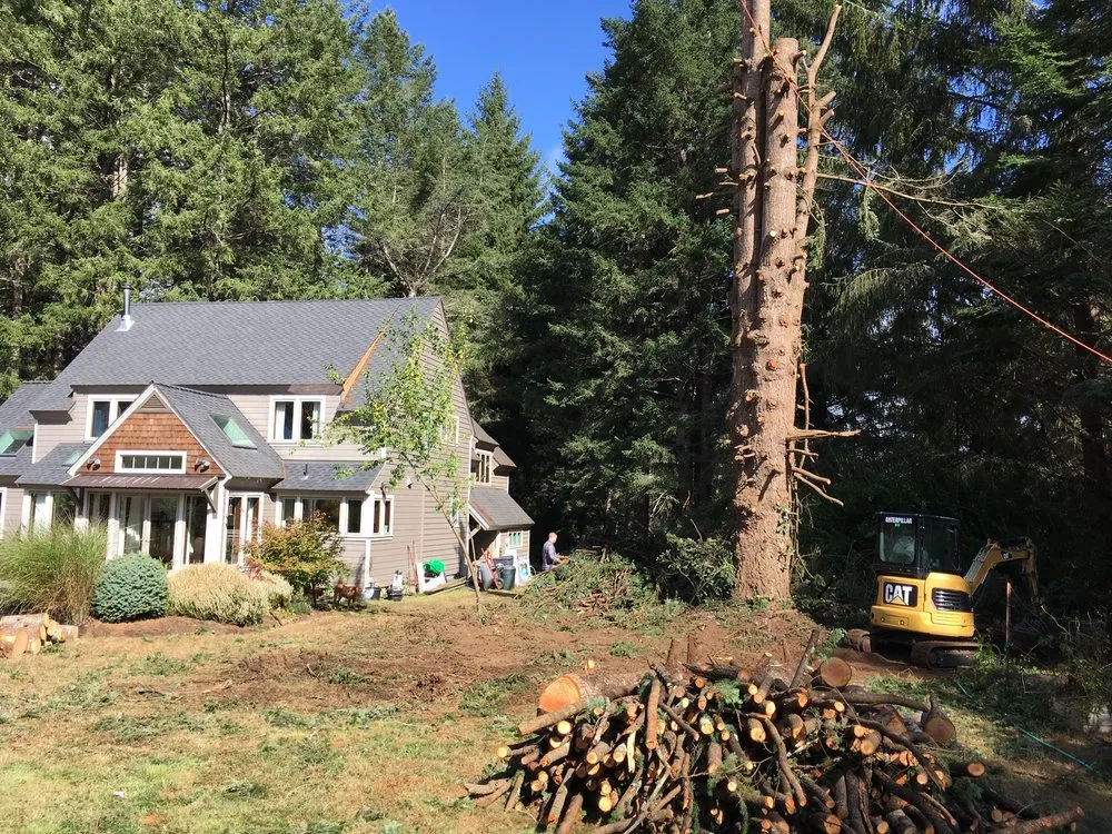 Custom lawn care service experts serving McKinleyville, CA - Quality Tree Service