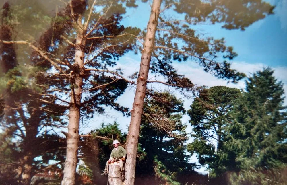 Affordable yard maintenance experts serving McKinleyville, CA - Quality Tree Service