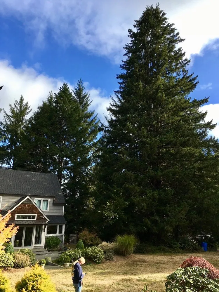 Trusted garden landscaping near you across McKinleyville, CA - Quality Tree Service