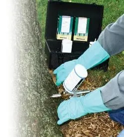 Local landscape design for beautiful yards across Fort Worth, TX - Quality Tree Solutions