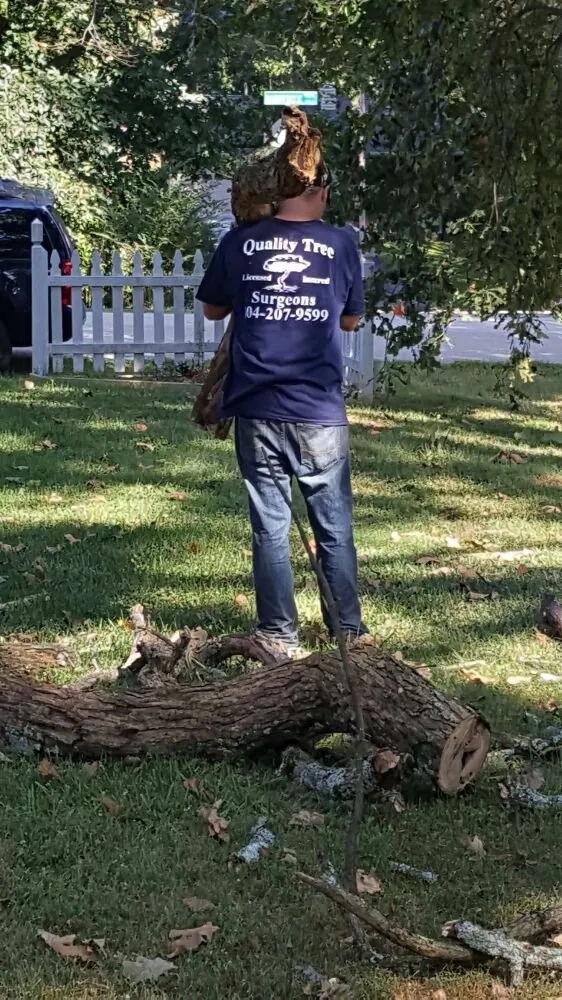 Expert landscaping services experts serving Flowery Branch, GA - Quality Tree Surgeons