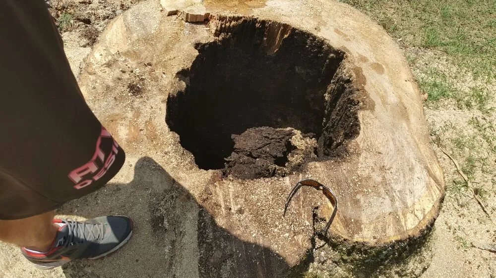 Top-rated landscape installation in Flowery Branch, GA by Quality Tree Surgeons