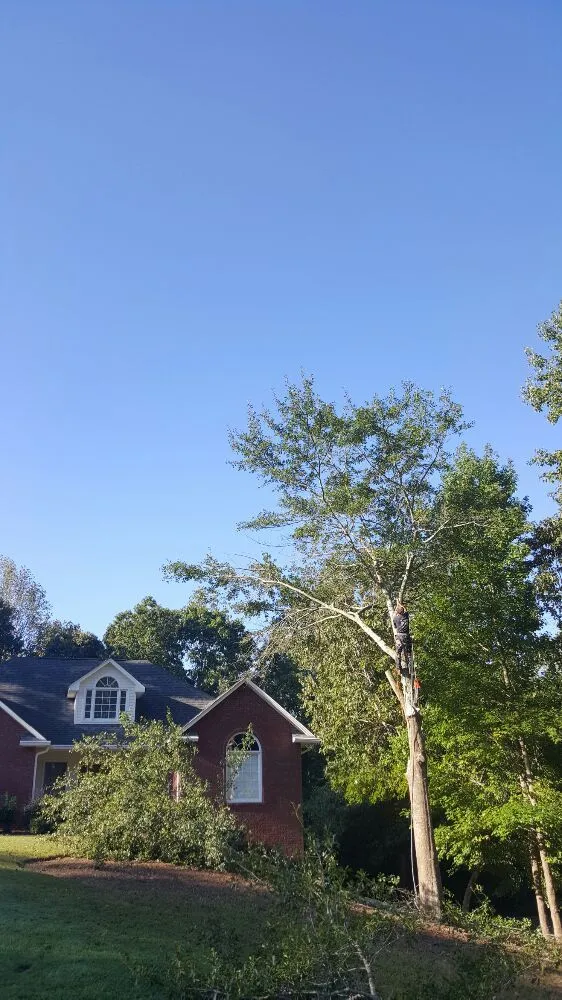 Custom landscaping services in Flowery Branch, GA by Quality Tree Surgeons