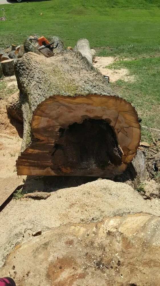 Trusted lawn care service experts serving Flowery Branch, GA - Quality Tree Surgeons