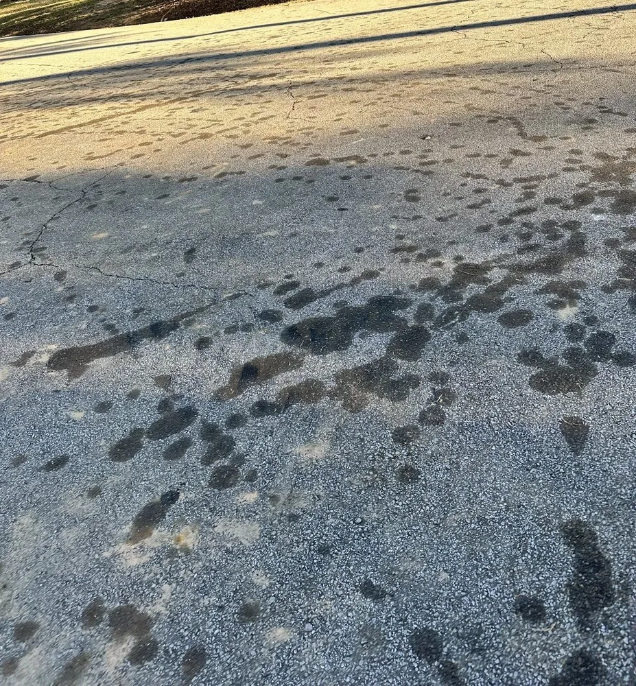 Local yard cleanup service for outdoor upgrades in Flowery Branch, GA by Quality Tree Surgeons