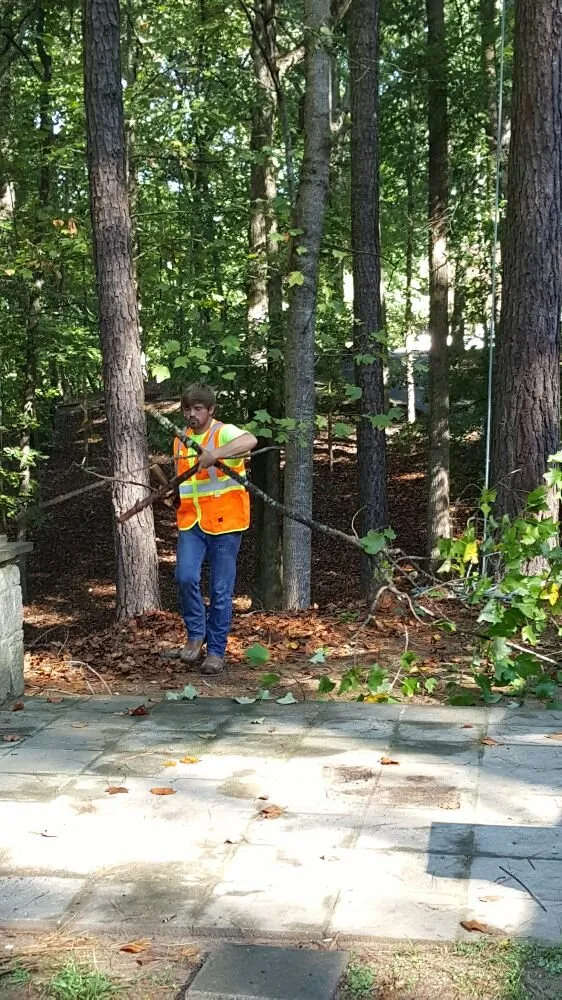 Reliable residential landscaping in Flowery Branch, GA by Quality Tree Surgeons