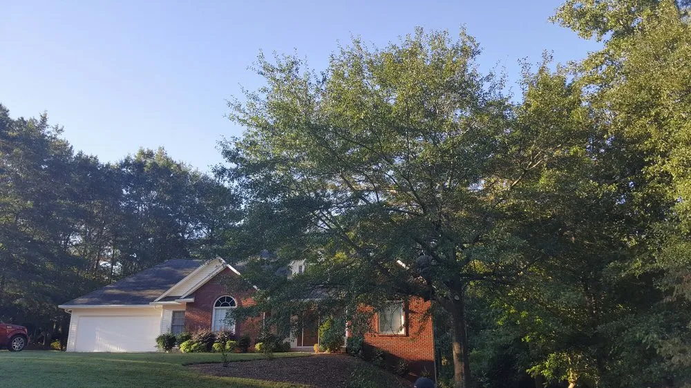 Affordable landscape installation experts serving Flowery Branch, GA - Quality Tree Surgeons