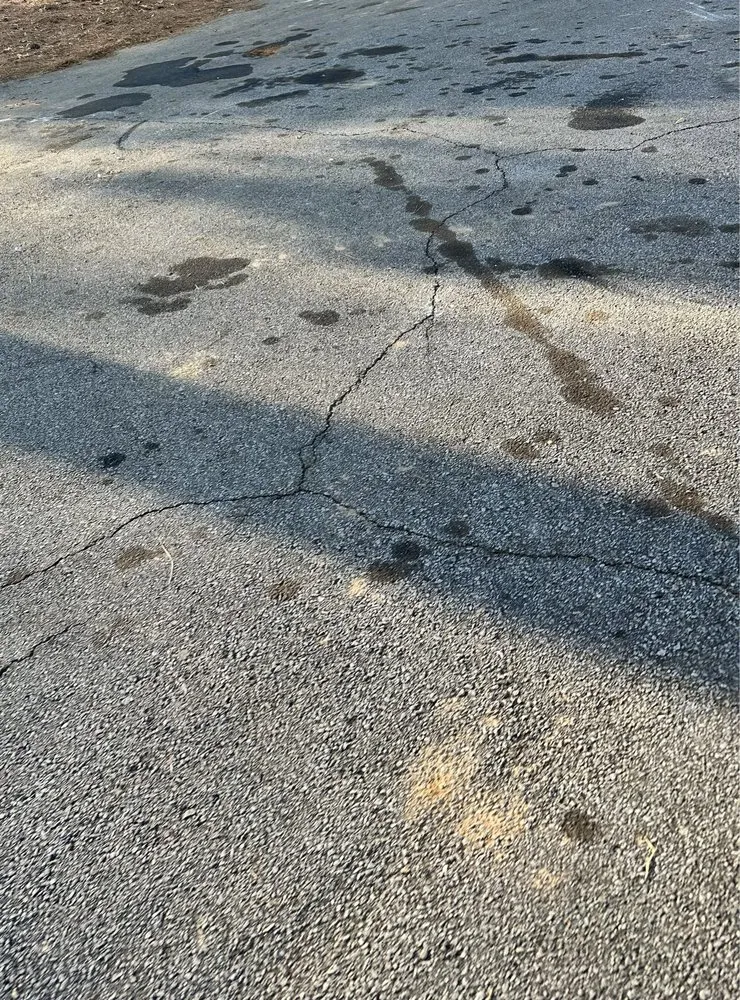 Expert outdoor landscaping in Flowery Branch, GA - Quality Tree Surgeons