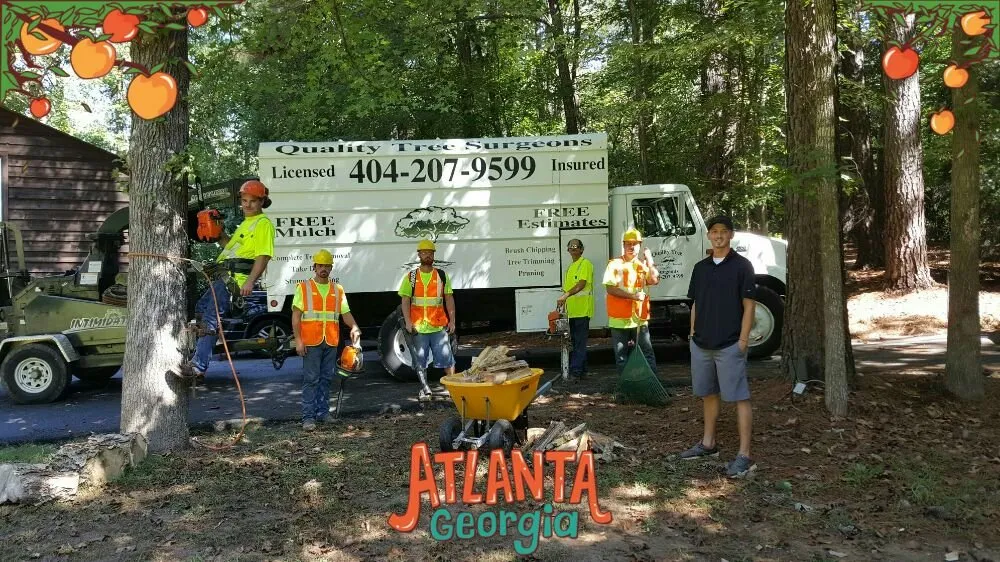 Top-rated lawn mowing service in Flowery Branch, GA - Quality Tree Surgeons