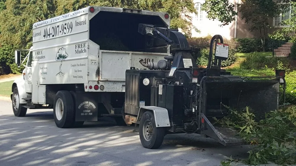 Professional landscape design in Flowery Branch, GA - Quality Tree Surgeons