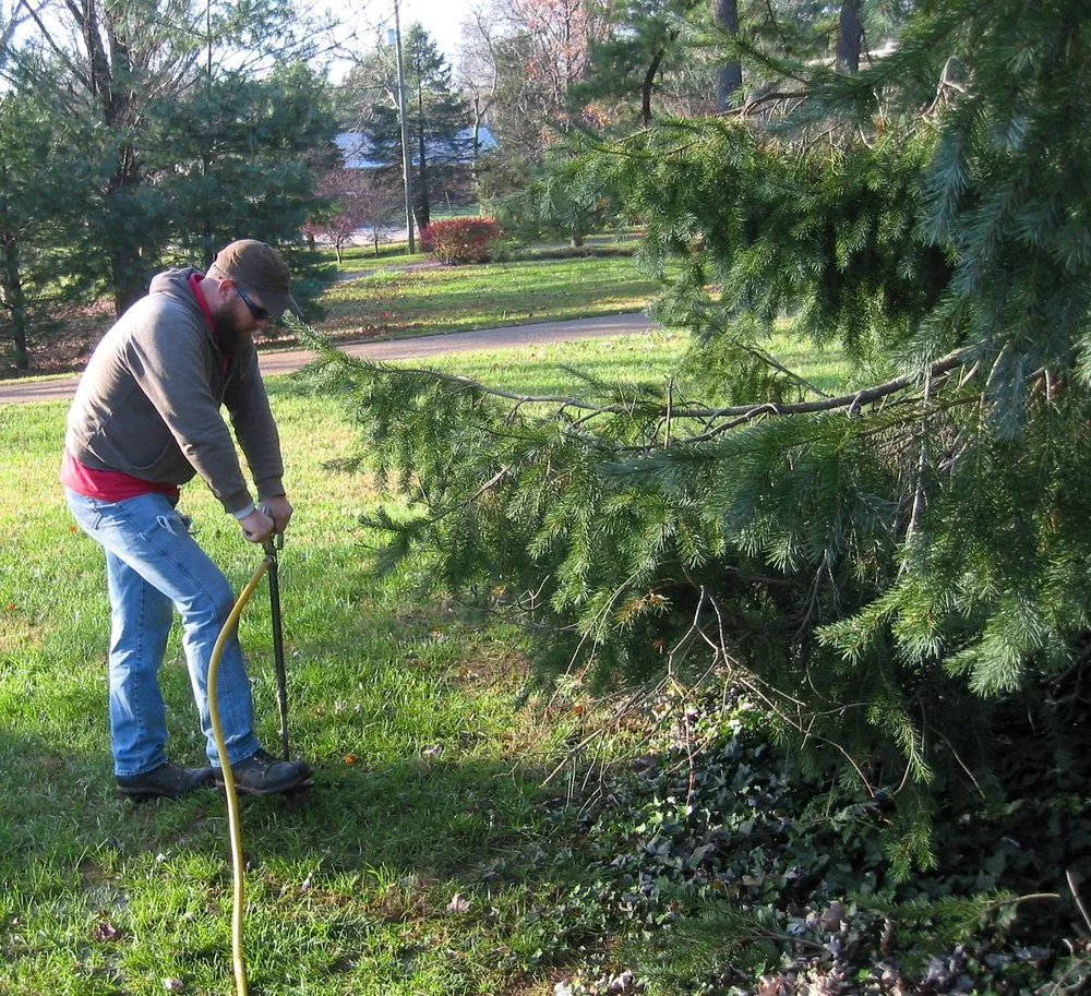 Affordable lawn care service for residential properties across Nashville, TN - Quality Tree Surgery