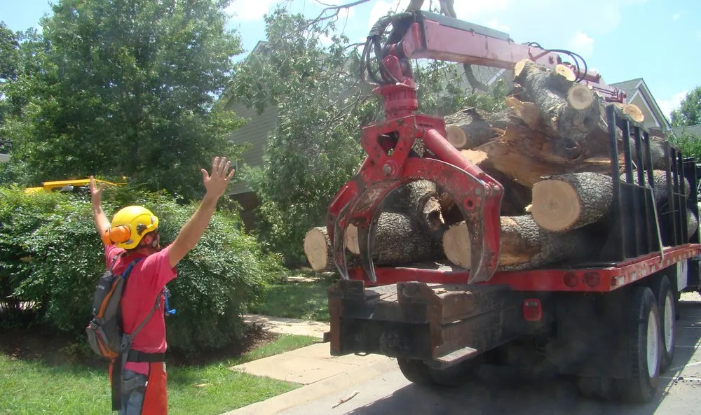 Local lawn mowing service with custom design across Nashville, TN - Quality Tree Surgery