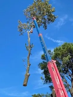 Reliable lawn mowing service in Nashville, TN by Quality Tree Surgery