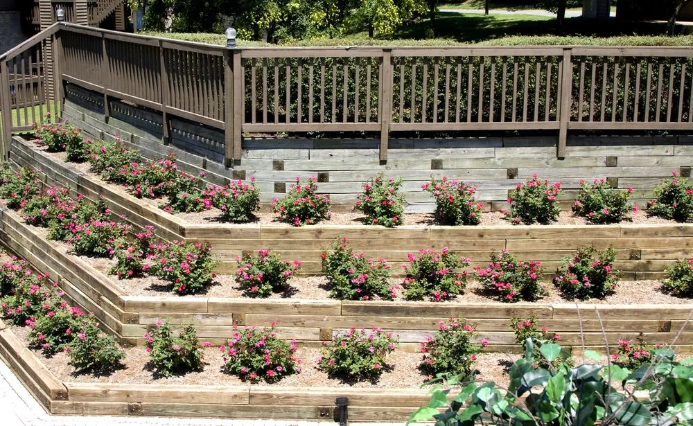 Expert lawn care service for year-round maintenance across Nashville, TN - Quality Tree Surgery