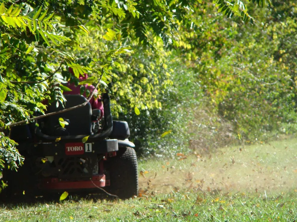 Custom landscape installation in Nashville, TN - Quality Tree Surgery