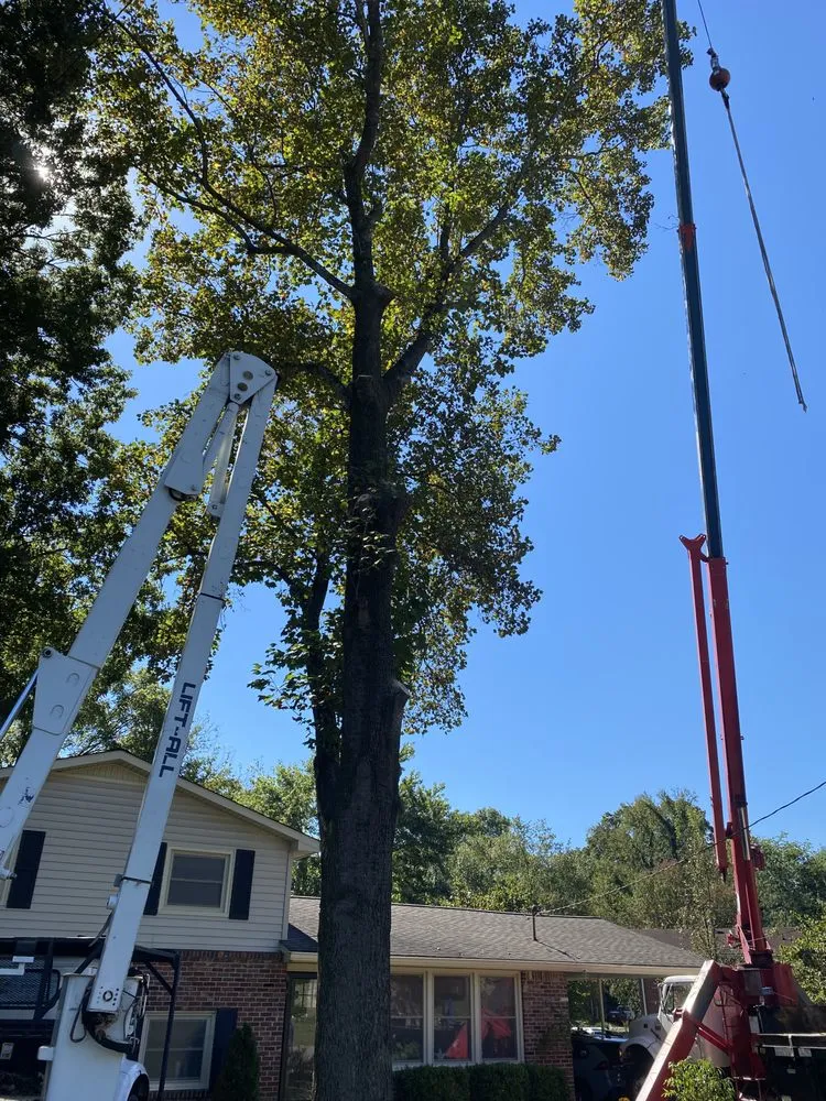 Affordable residential landscaping in Nashville, TN by Quality Tree Surgery