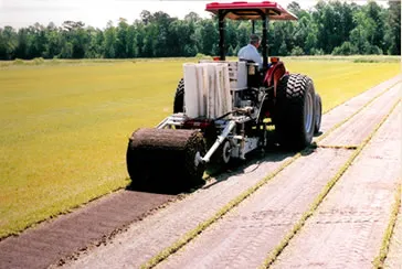 Reliable garden landscaping in Burgaw, NC by Quality Turf