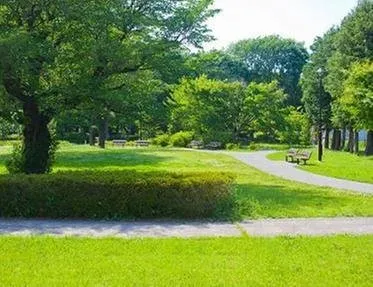 Trusted landscape design near you across Burgaw, NC - Quality Turf