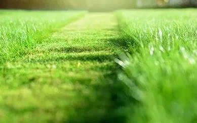 Affordable garden landscaping for outdoor upgrades in Burgaw, NC by Quality Turf