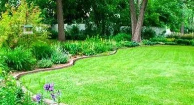 Top-rated garden landscaping for outdoor upgrades across Burgaw, NC - Quality Turf