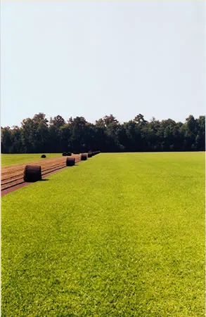 Expert landscape design in Burgaw, NC by Quality Turf