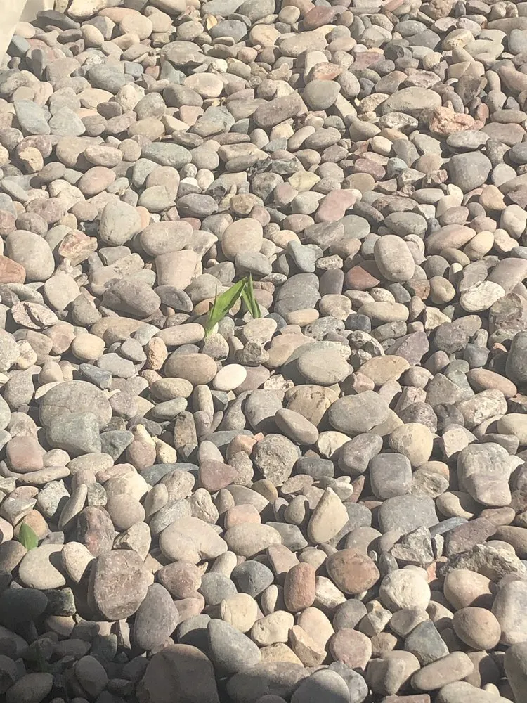 Affordable lawn mowing service experts serving Rancho Cucamonga, CA - Quality Turf Construction